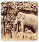 Arjuna's Penence, Kanchipuram