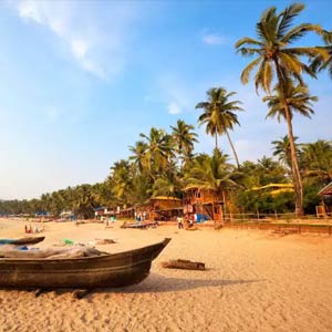 Colourful Rajasthan with Golden Beaches of Goa