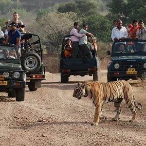 Rajasthan Wildlife and Goa Tour